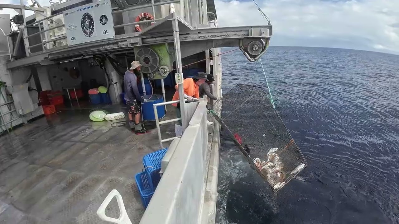 Calm seas and steady fishing for the target species 