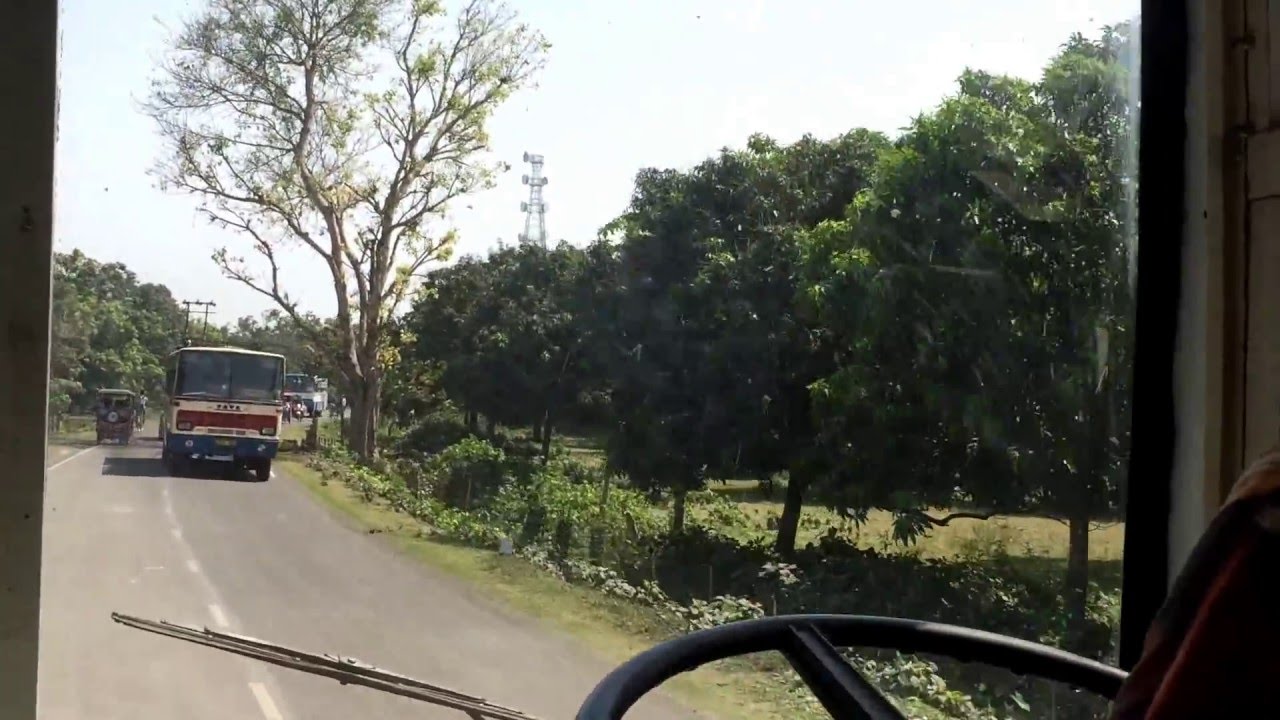 famous-mango-garden-at-malda-youtube