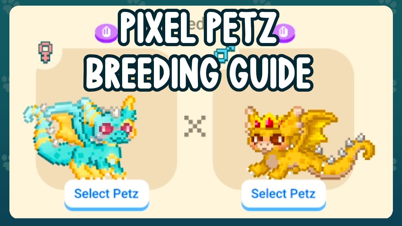 how to install petz 5 custom breeds