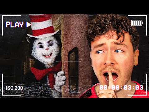 Die CAT in the HAT Horror Tapes sind verstörend... (Reaction)