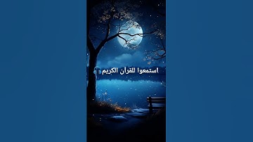 استمعوا للقرآن الكريم ♥️🎧#قران_كريم #راحة_نفسية