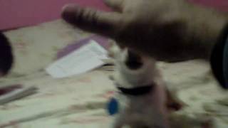 CLIP0063.AVI