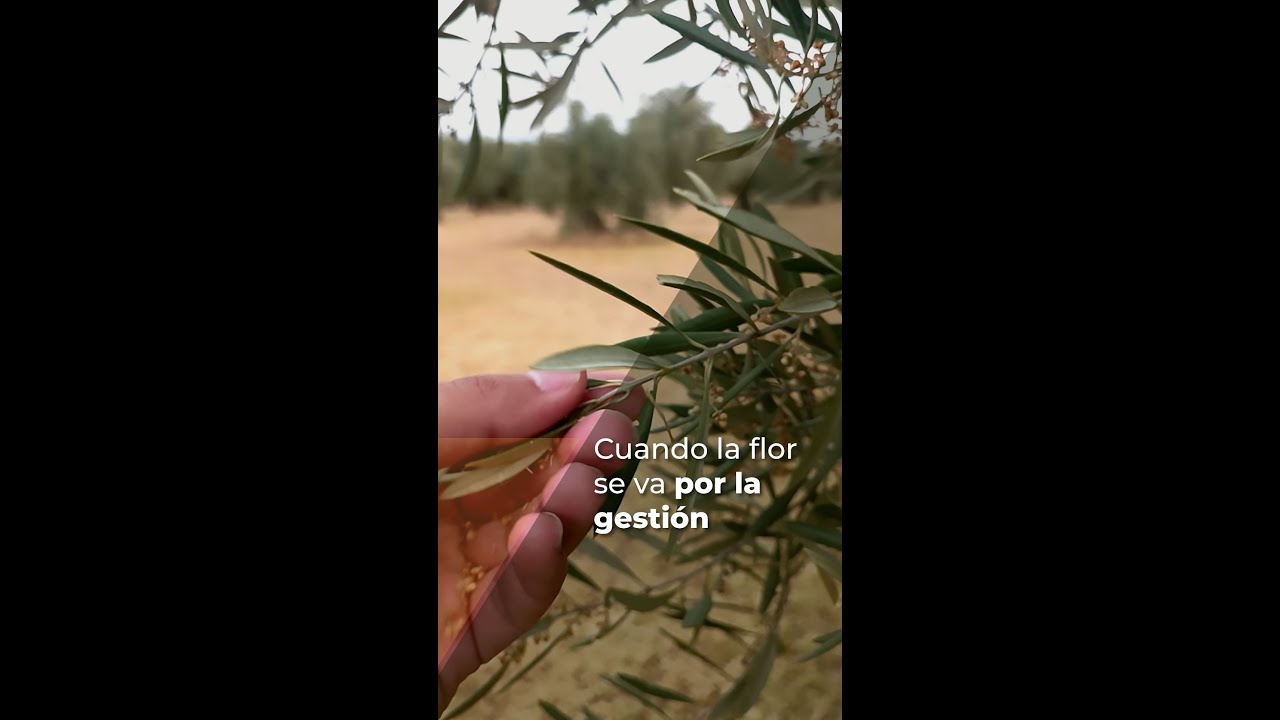 CUANDO LA FLOR SE VA POR LA GESTIÓN DE LA FINCA