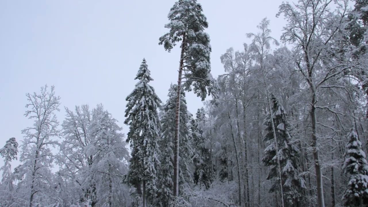 Winter, relaxs music  / Žiema