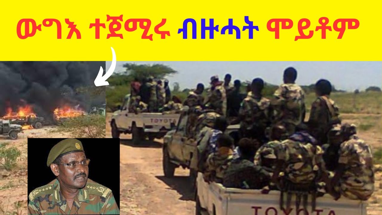 ውግእ ተጀሚሩ ብዙሓት ሞይቶም  //  ብርሃኑ ጁላ ኣዚዙ