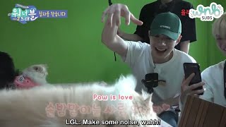 [WANNA TRAVEL S2] LAI GUANLIN PLAYING WITH CATS