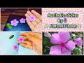 DIY笨ィ Aesthetic Sticker Making By Nature Flower Sticker Making By Flower Garden Flower DIY笨ィ Aesthetic Sticker Making By Nature Flower Sticker Making By Flower Garden Flower
