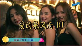 Video thumbnail of "爱的暴风雨 DJ"