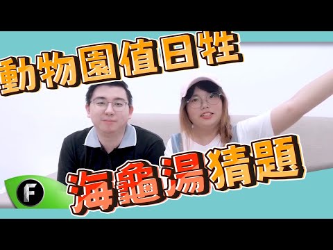 動物園值日牲~海龜湯猜題｜@ping79311 【Freedom夥伴精華】