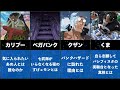 【ワンピース】未だ回収されてないキャラの謎30選【伏線】