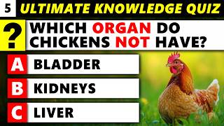 How Many Questions Can You Get Right? (Ultimate Knowledge Quiz 5)