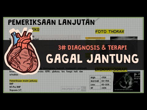 (3/3) Diagnosis & Terapi Gagal Jantung : # HEART FAILURE