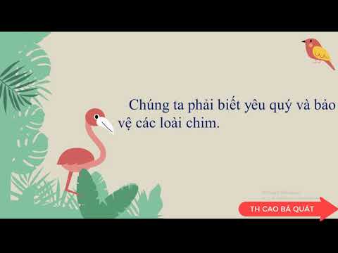 Luyện từ và câu (Tuần 22): MRVT: Từ ngữ về loài chim. Dấu chấm, dấu phẩy – Lớp 2