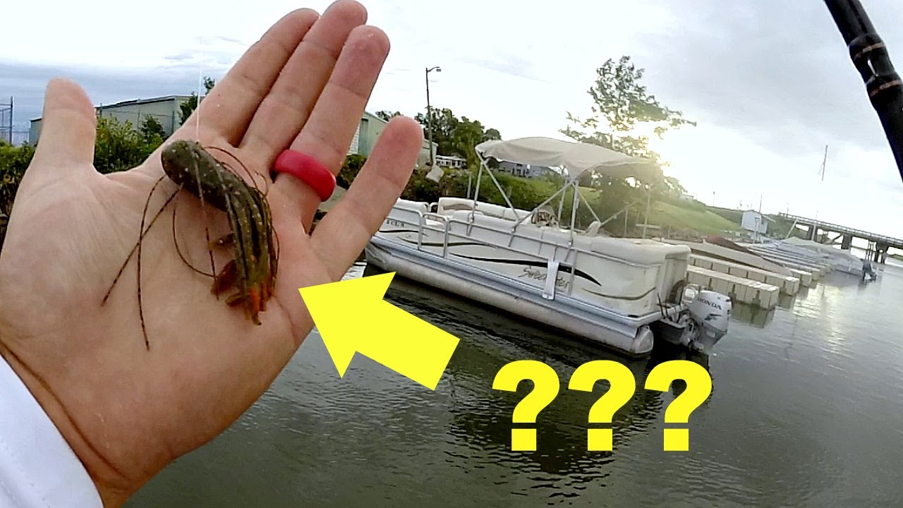 3 Hour Summer Fishing Challenge!! Will they eat this CRAZY TUBE?!