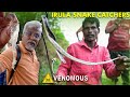 Catching Wild Snakes with Irula Snake Catchers! | பாம்பை தேடி பயணம் 😨| Snake Walk!