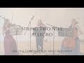 Trio no1 allegro comp arina brovanova