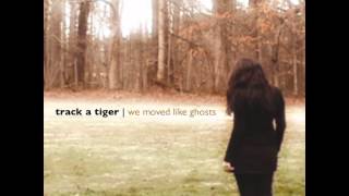 Watch Track A Tiger All These Accidents video