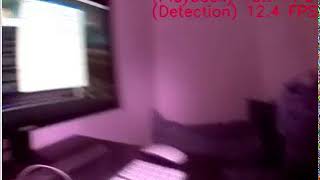 Raspberry Pi 3B  & 1x Intel NCS2 Caffe MobileNet-SSD Object detection