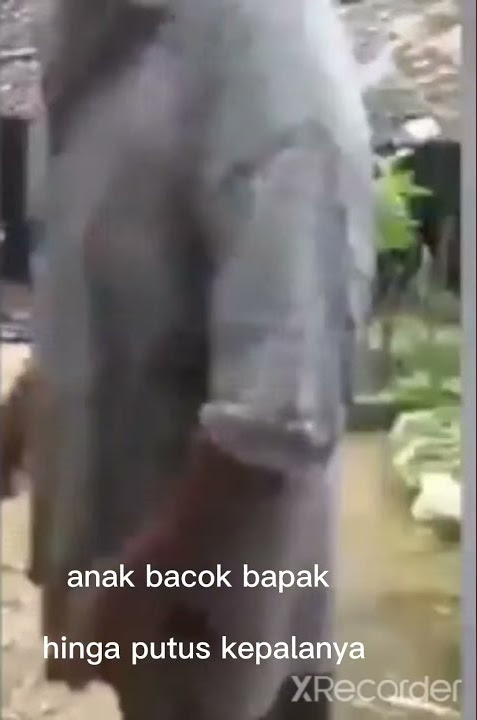 anak bacok bapak hinga lehernya putus di Lampung