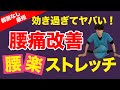 【腰痛治し方ストレッチ】腰痛や坐骨神経痛に超効果的！！ズボラな方でもこのストレッチだけで劇的に改善