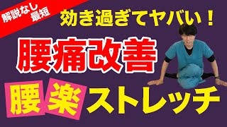 【腰痛治し方ストレッチ】腰痛や坐骨神経痛に超効果的！！ズボラな方でもこのストレッチだけで劇的に改善