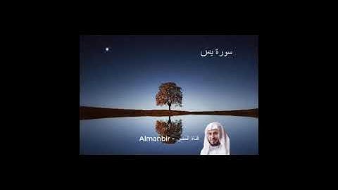 تلاوة سورة يس الصافات ص الزمر للقارئ الشيخ سعد الغامدي (بدون اعلانات)