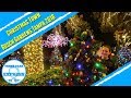 Christmas Town 2018 | Busch Gardens Tampa Bay | Lights, Games &amp; Rudolph The Red Nosed Reindeer!