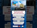 Beda Nasib Kalau Di Negeri KONOHA #viral #faktamenarik #inspiration #lucky #shorts #fyp
