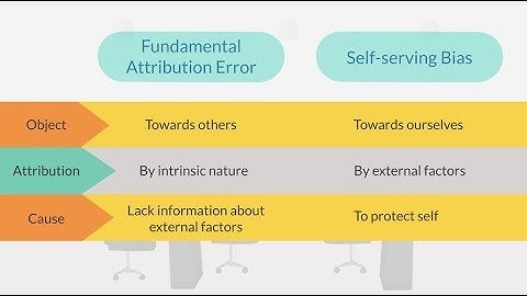 Attribution Error and Self Serving Bias