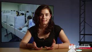 Il Sistema Bibliotecario Di Ateneo