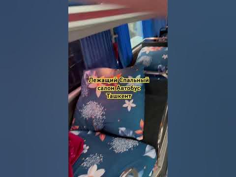 Лежащий Спальный Салон Автобус Ташкент - YouTube