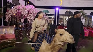 Download Lagu Baddies Africa- Tommie scrabbles up with Rollie  (REVIEW)!!!!!￼￼ MP3