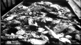 Hunger Blockade, 1948 - Berlin Blockade / Berlin Airlift (full)