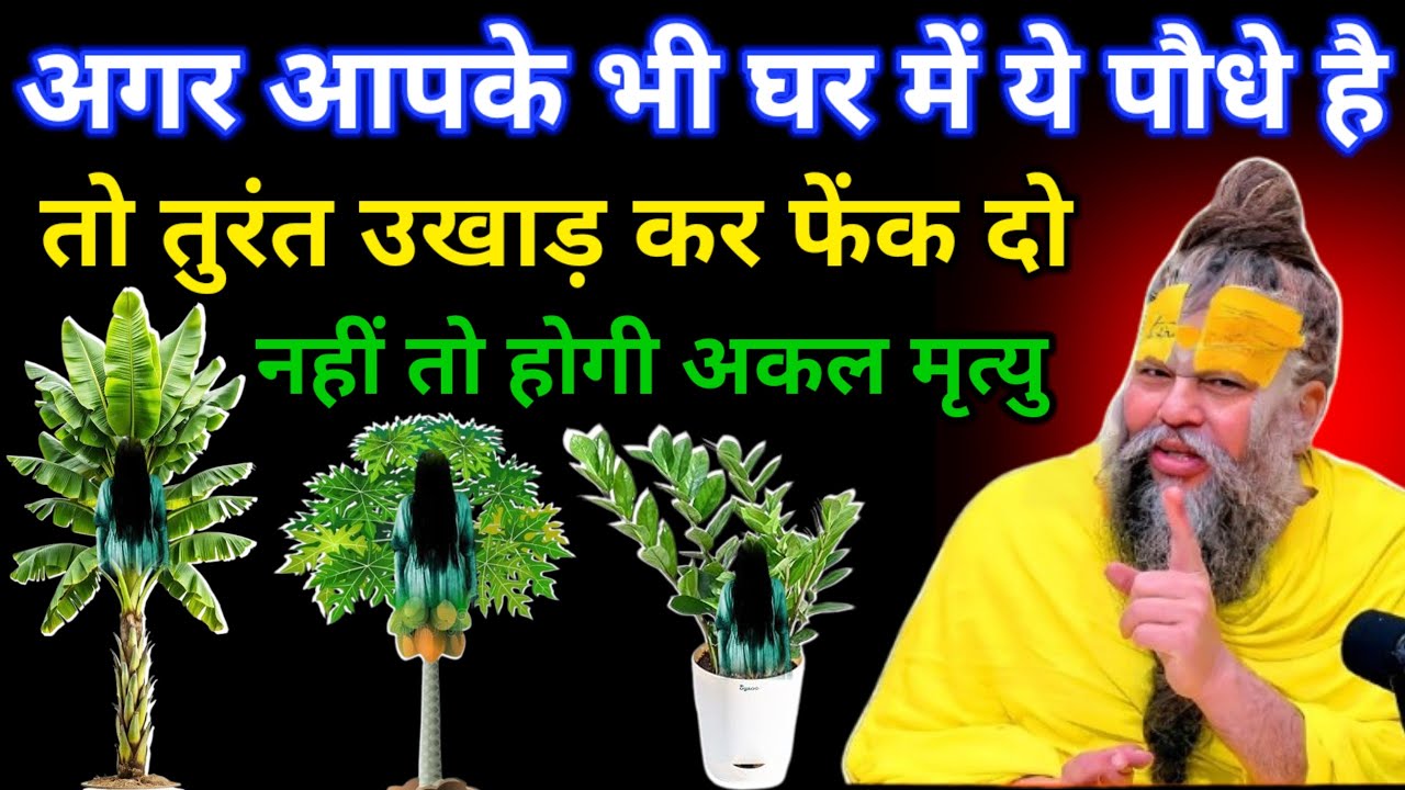 अगर आपके भी घर में ये पौधे है तो तुरंत उखाड़ कर फेंक दो नहीं तो होगी अकल मृत्यु/#premanandjimaharaj
