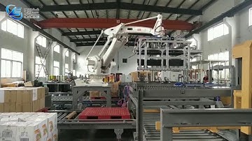 Robot palletizer for cartons