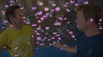 Climbing Hold Semantic Segmentation V2