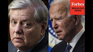 Lindsey Graham rips Biden over minimum wage
