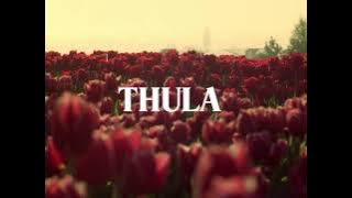 THULA- LOWSHEEN,MASTER KG & NKOSAZANA DAUGHTER INSTRUMENTAL