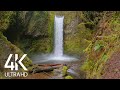 8HRS Calming Sounds of Waterfalls and Birds Songs for Relaxation - 4K Top-Rated Waterfalls in Oregon