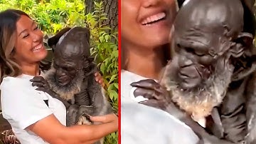 Top 10 Real Scientific Mysteries That Still Can’t Be Solved