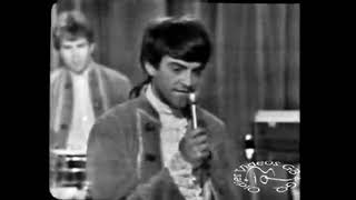 Watch Paul Revere  The Raiders Little Girl In The 4th Row video