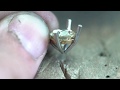 Making a bespoke 2.5ct diamond engagement ring - Part 2