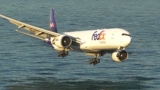 Very loud shaking when the plane landed in PALERMO.mfs2020 by Yeni Almeer 144 views 6 days ago 2 minutes, 59 seconds