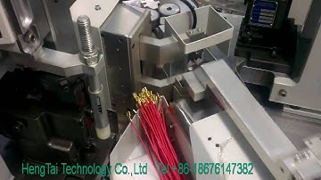 Fully automatic wire cut strip twisting terminal crimping machine