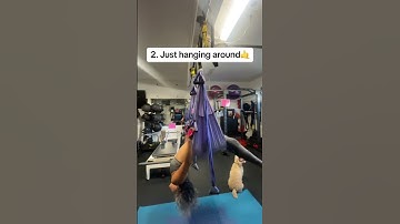 3 Ways to use the Yoga Trapeze!