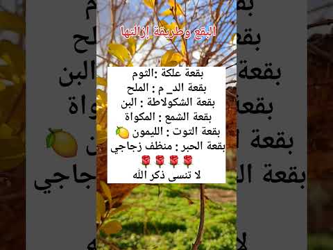 البقع وطريقة إزالتها