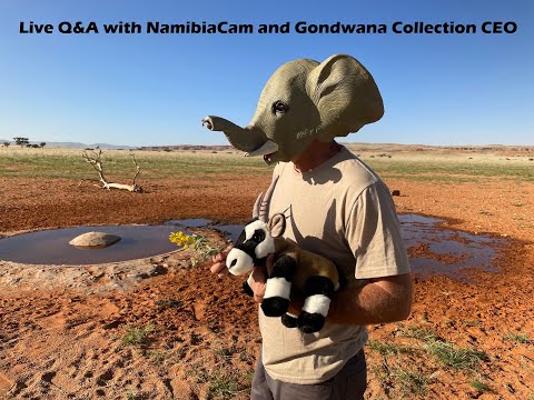 Question and Answer Session NamibiaCam and Gondwana Collection Namibia CEO