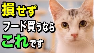 損せずにキャットフードを買う方法を獣医師が解説します|GRANDS・グランツ