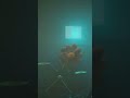 Corrupted Daisy the flower edit//poppy playtime edit