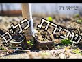 רבי ישראל דגן שבירת כלים דברי רבינו הם כולם התחזקות חובה רבי ישראל דגן שבירת כלים דברי רבינו הם כולם התחזקות חובה
